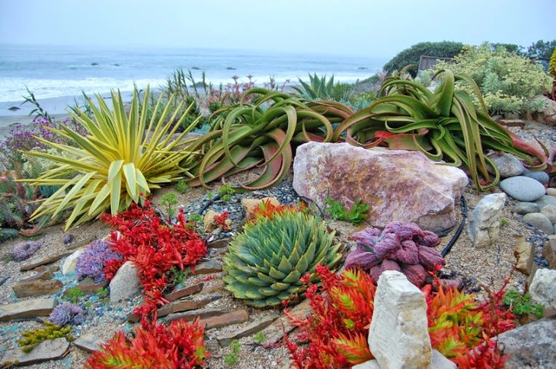 Gardens by Gabriel, Central Coast Gardening God