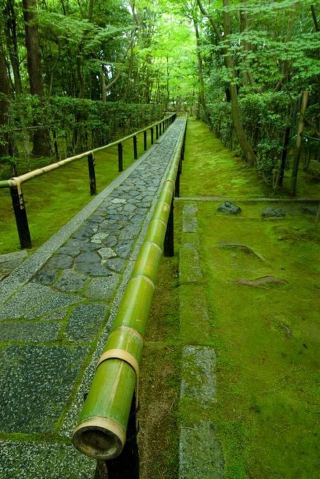 Moss garden