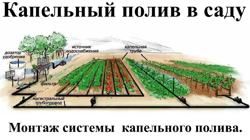 Капельный полив