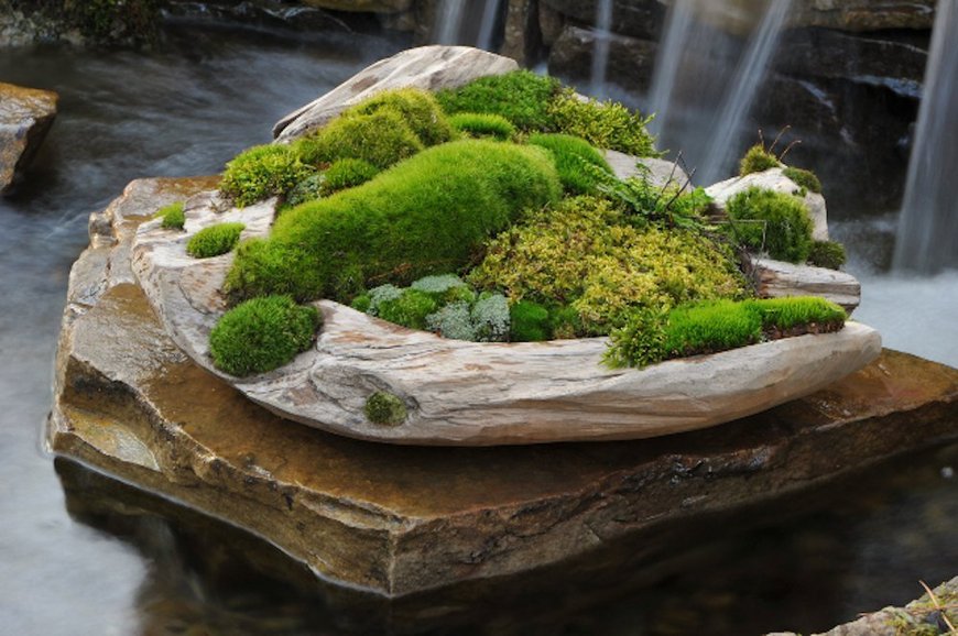Moss garden