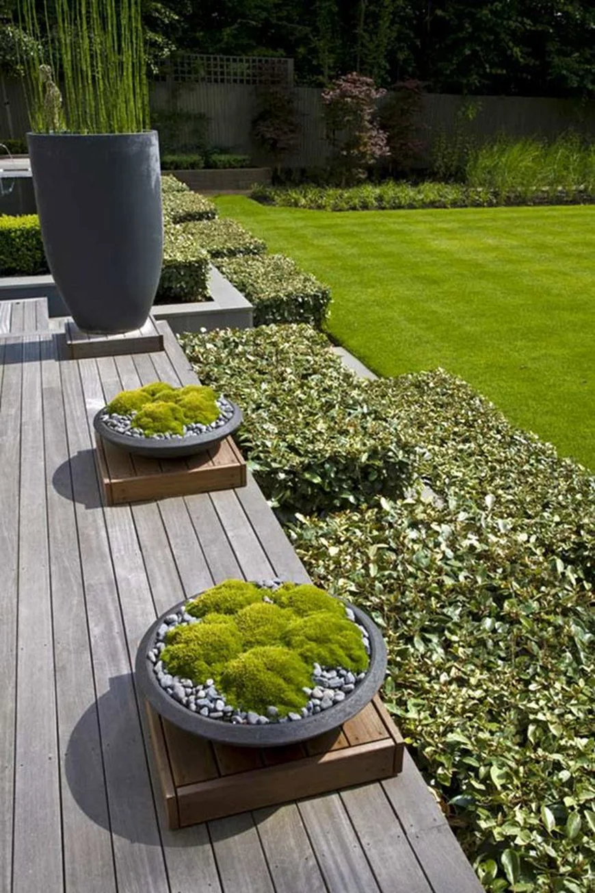 Moss garden
