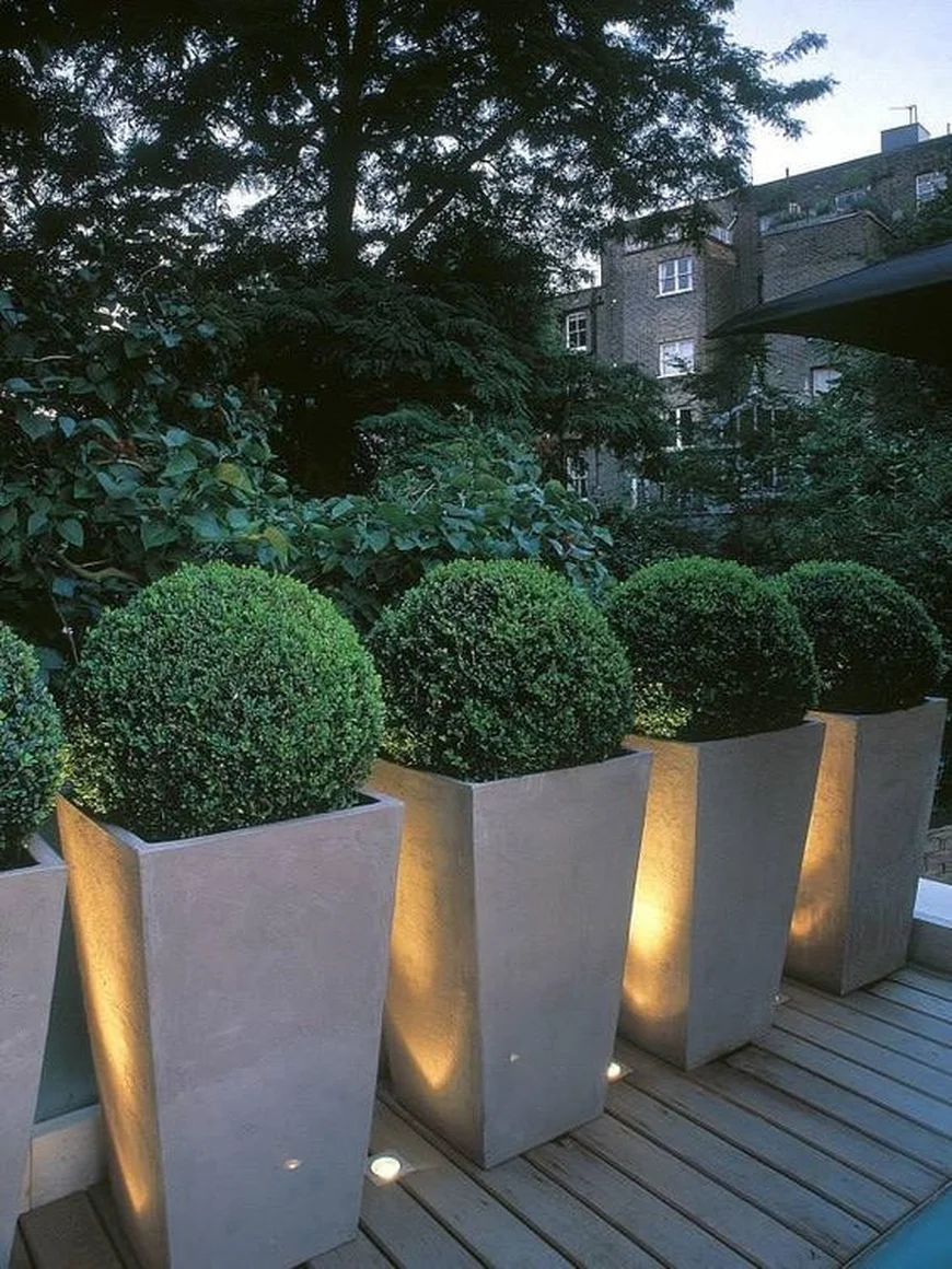 Освещение в саду/Lighting in the garden