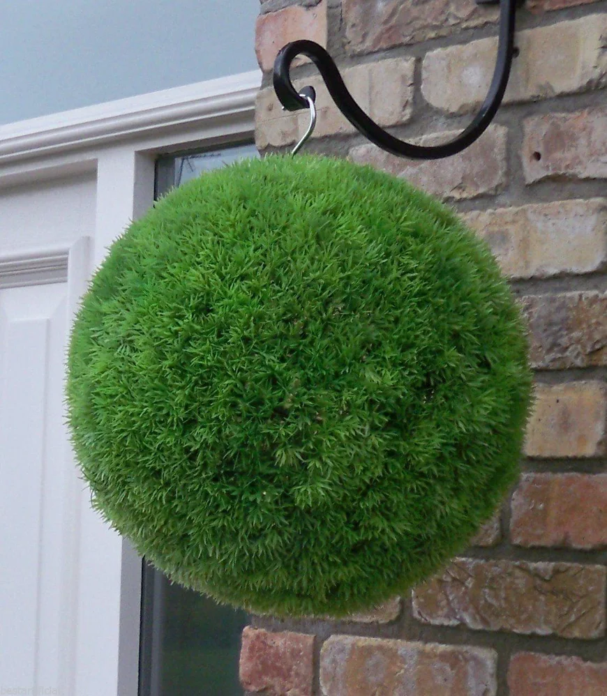 Moss garden