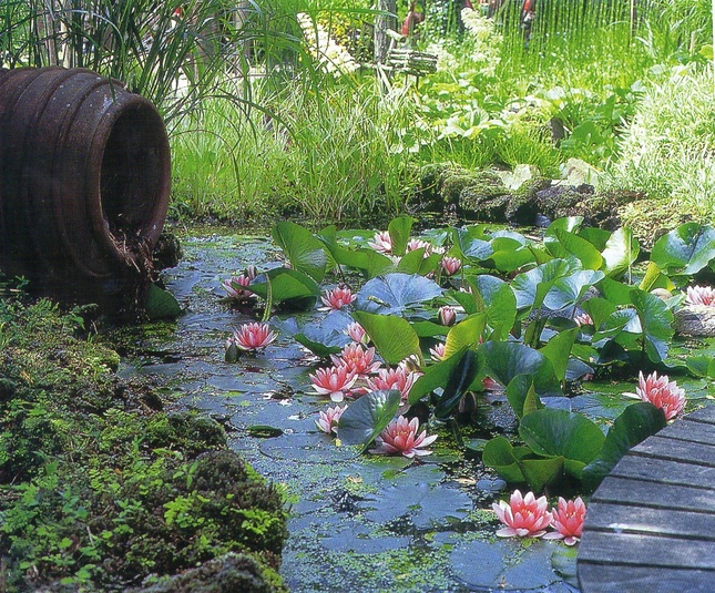 Как сделать пруд своими руками? Удивительные садовые водоемы! ФОТО