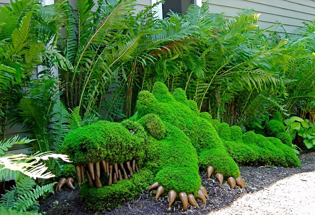 Moss garden