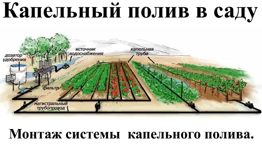 Капельный полив
