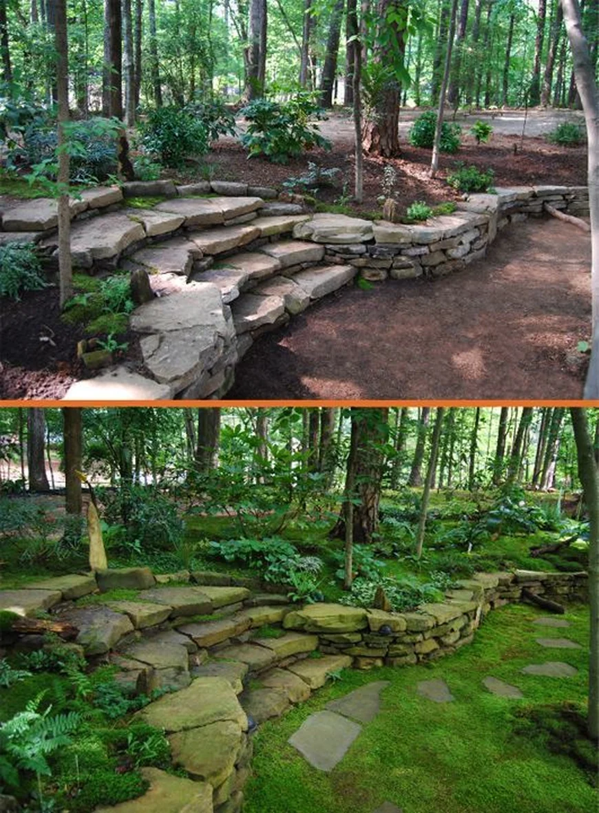 Moss garden