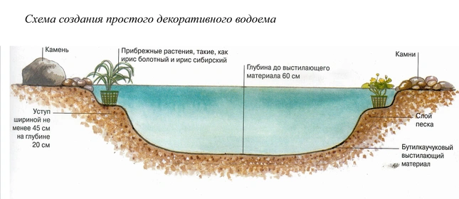 Как сделать пруд своими руками? Удивительные садовые водоемы! ФОТО