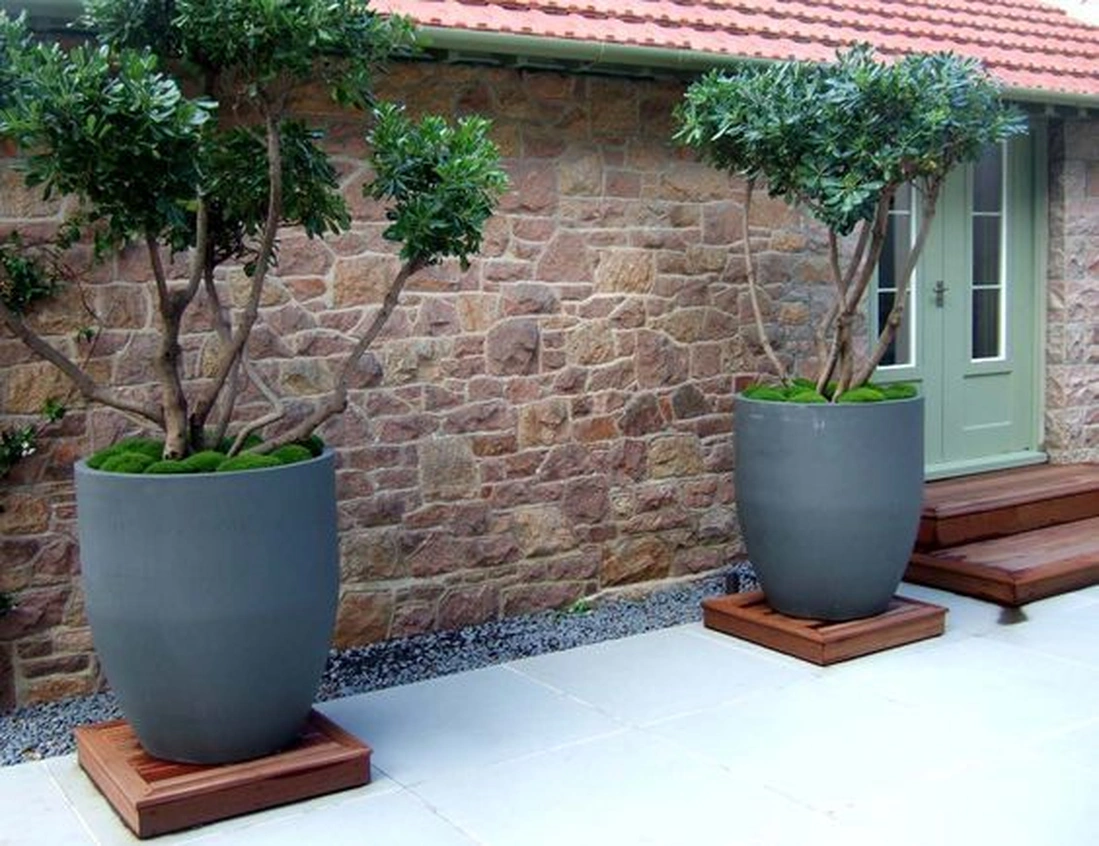 Moss garden